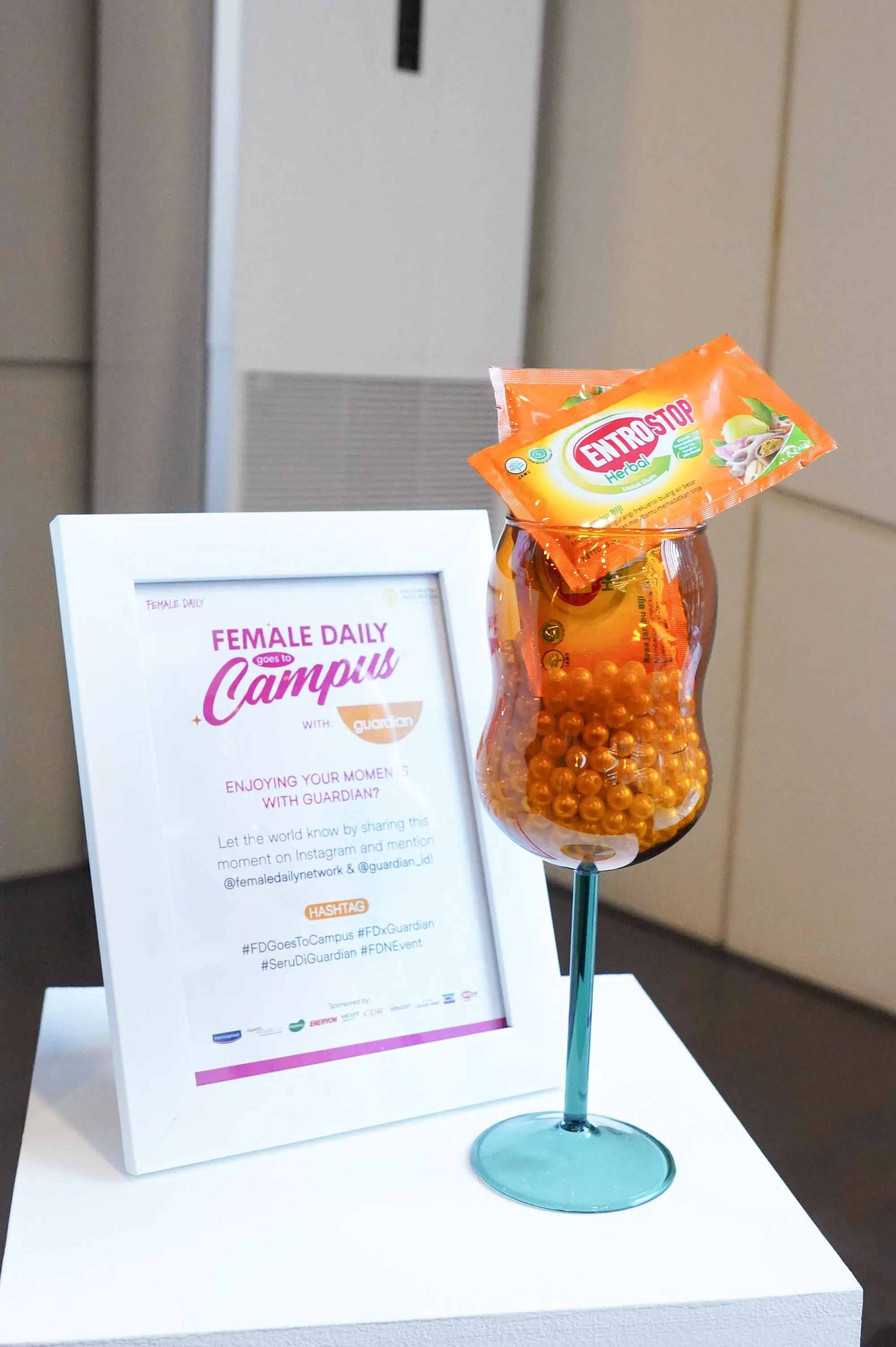 Salt & Light Event 40