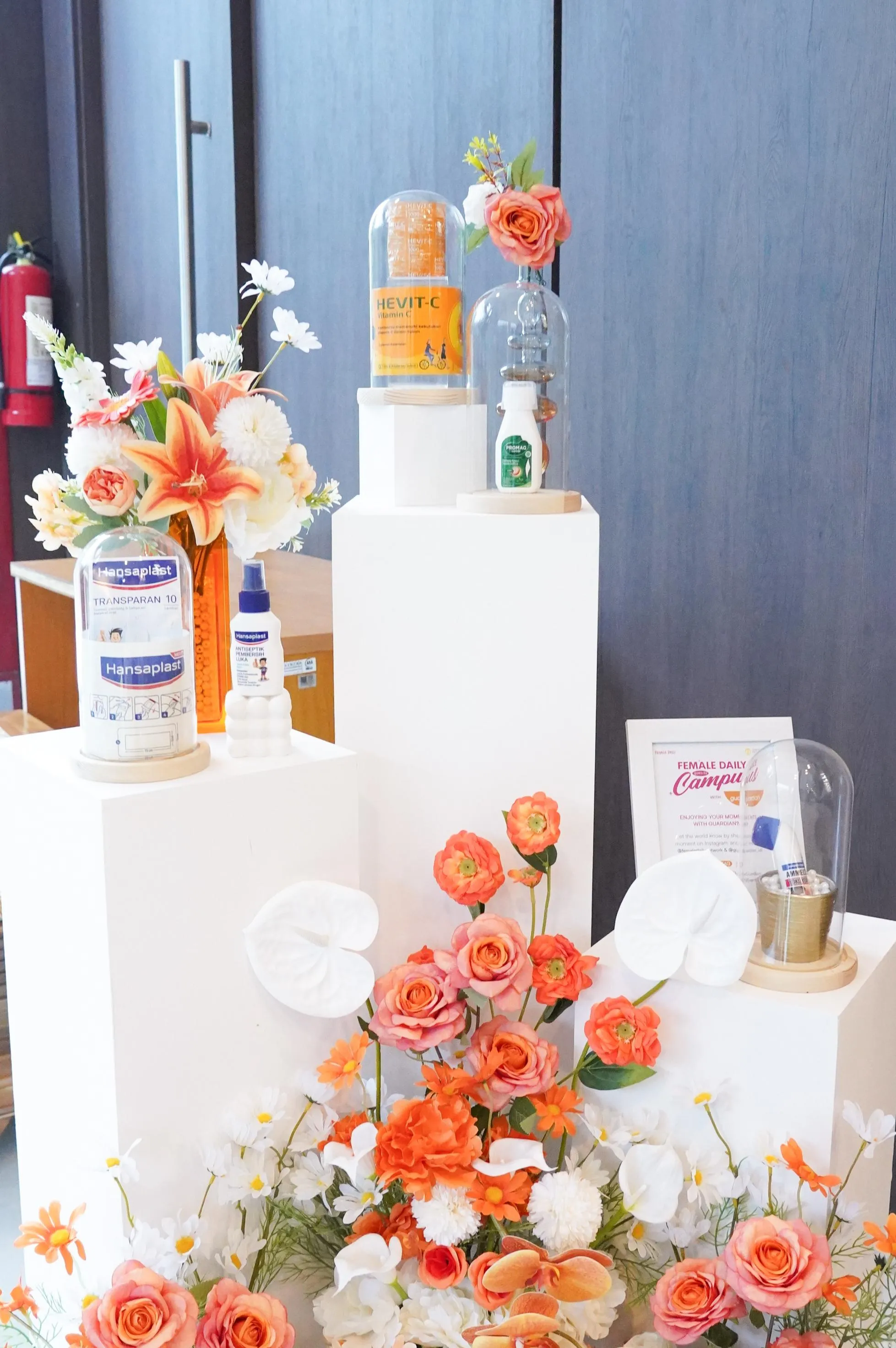 Salt & Light Event 41