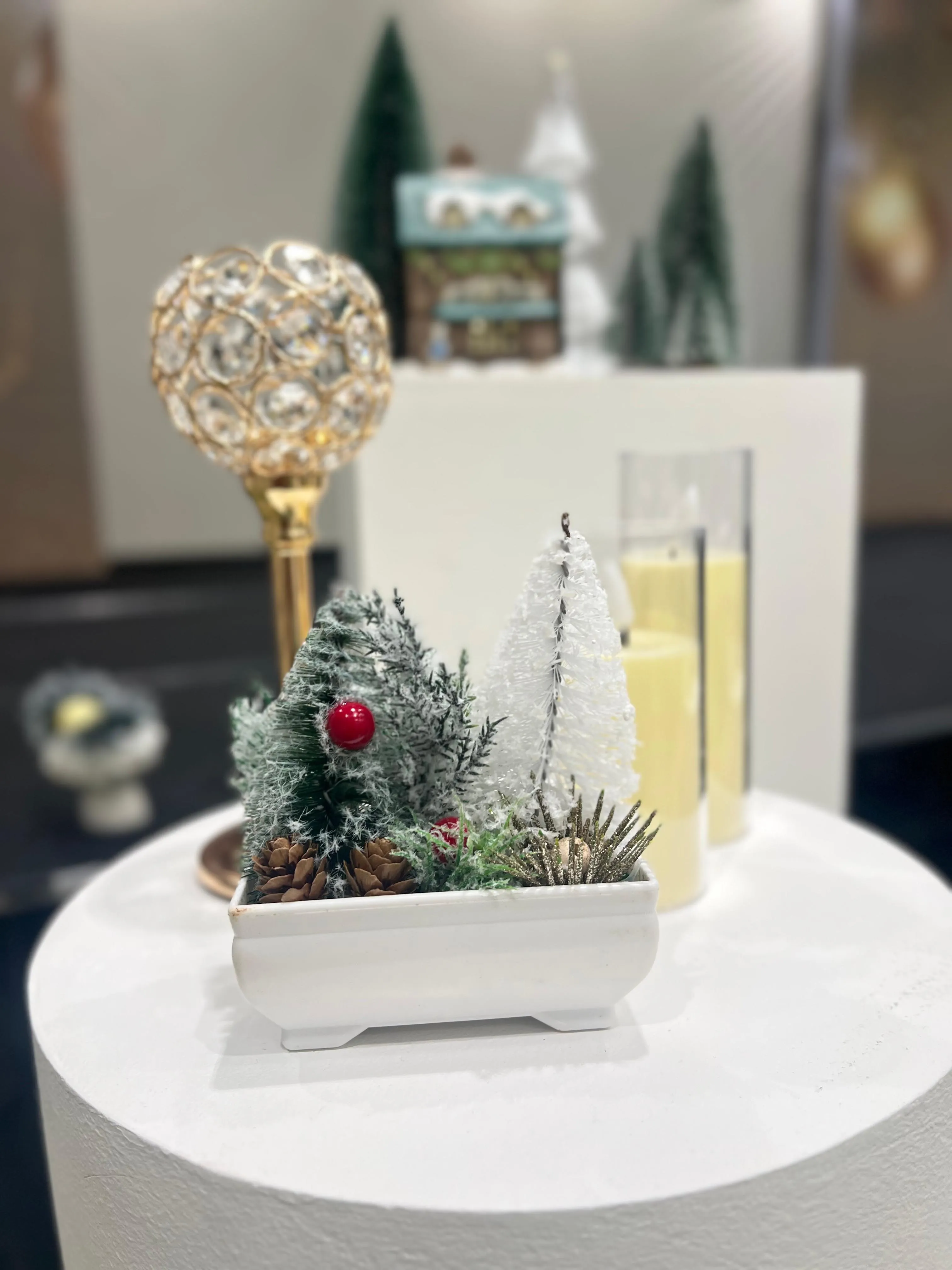 Salt & Light Event 87