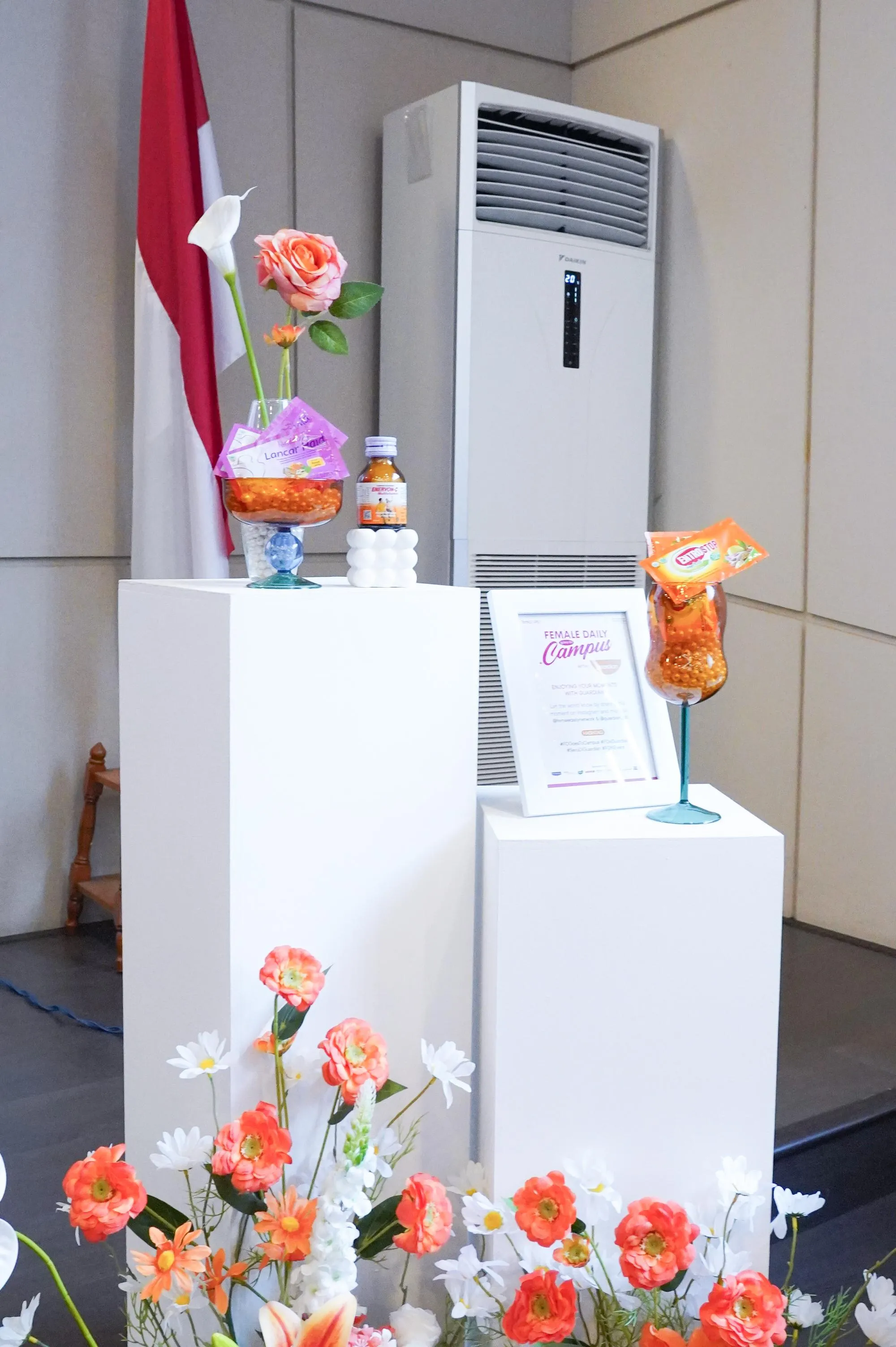 Dekorasi Product Display - dekorasi-39.webp